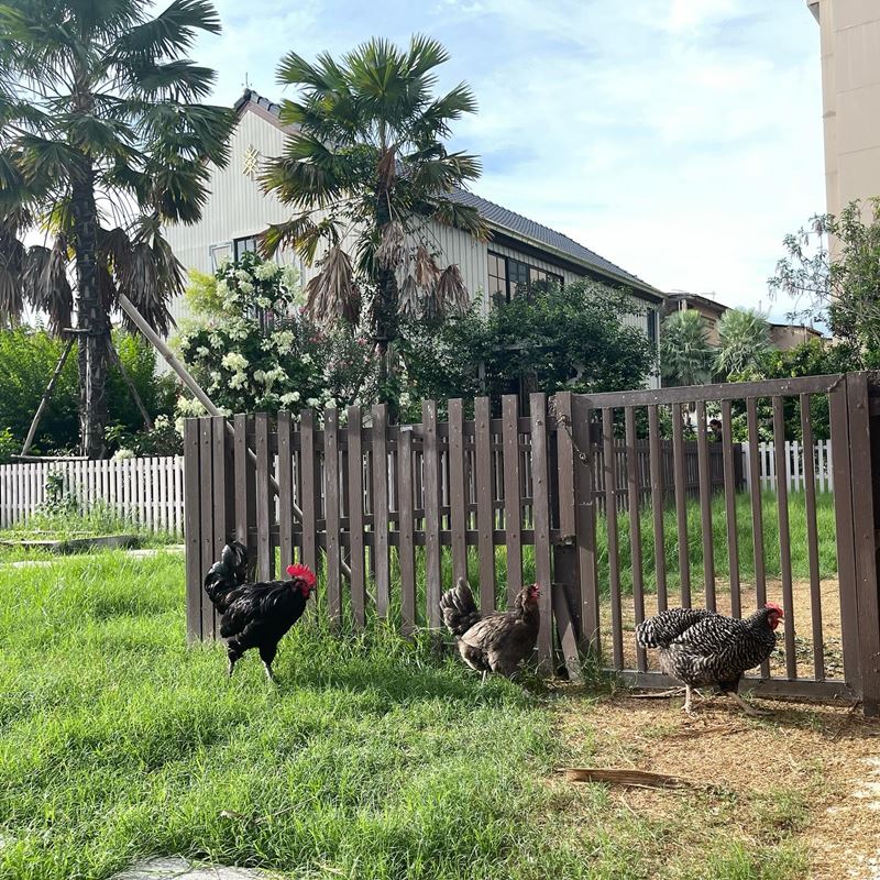 แต๊งค์ พงศกร ขายบ้าน