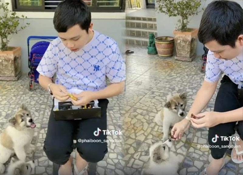 ครูไพบูลย์ ให้หมากินช็อกโกแลต