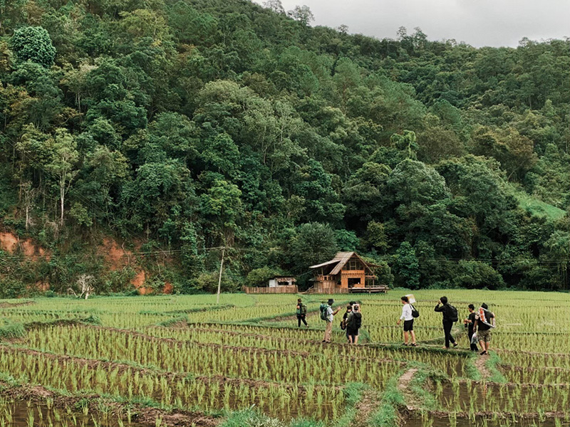 ที่พักเชียงใหม่