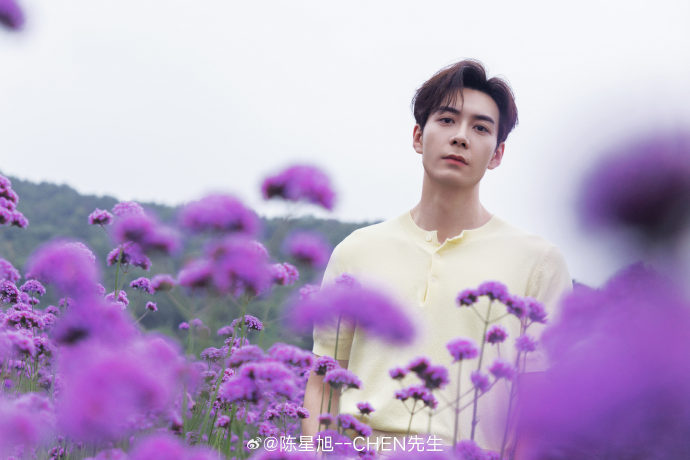 เฉินซิงซวี่ chen xingxu