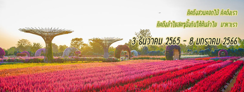 ที่เที่ยวเดือนมกราคม