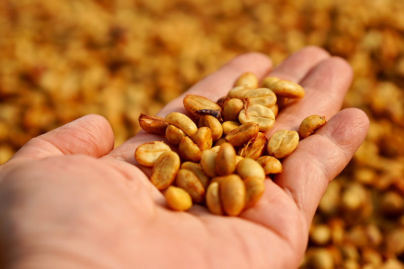 Community Coffee Sourcing