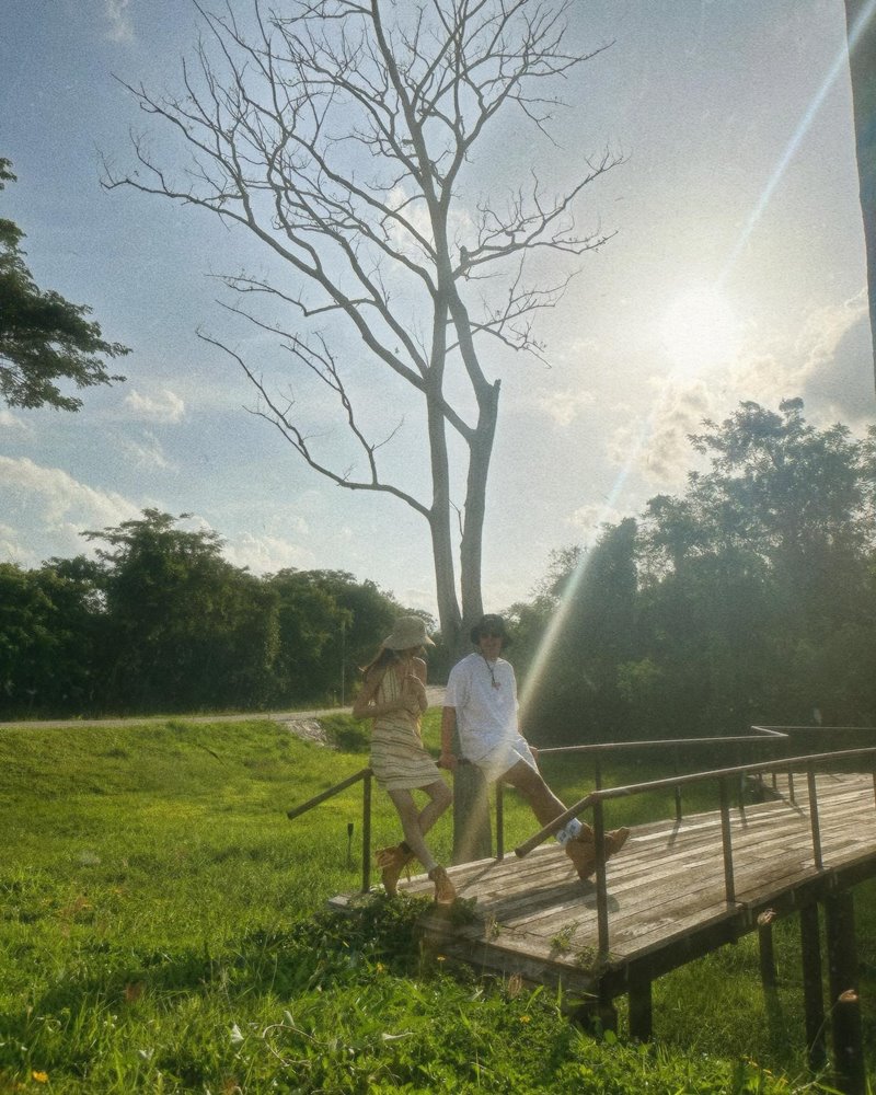 นาย ใบเฟิร์น