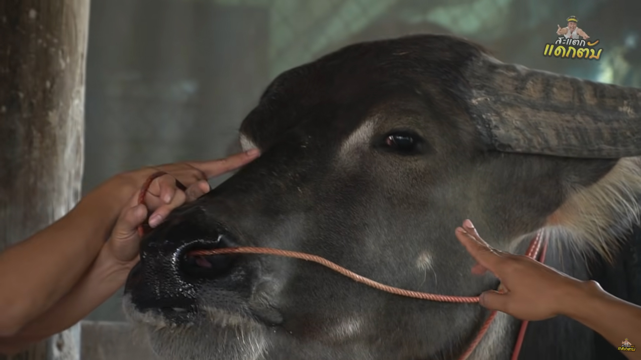 น้ำ รพีภัทร 