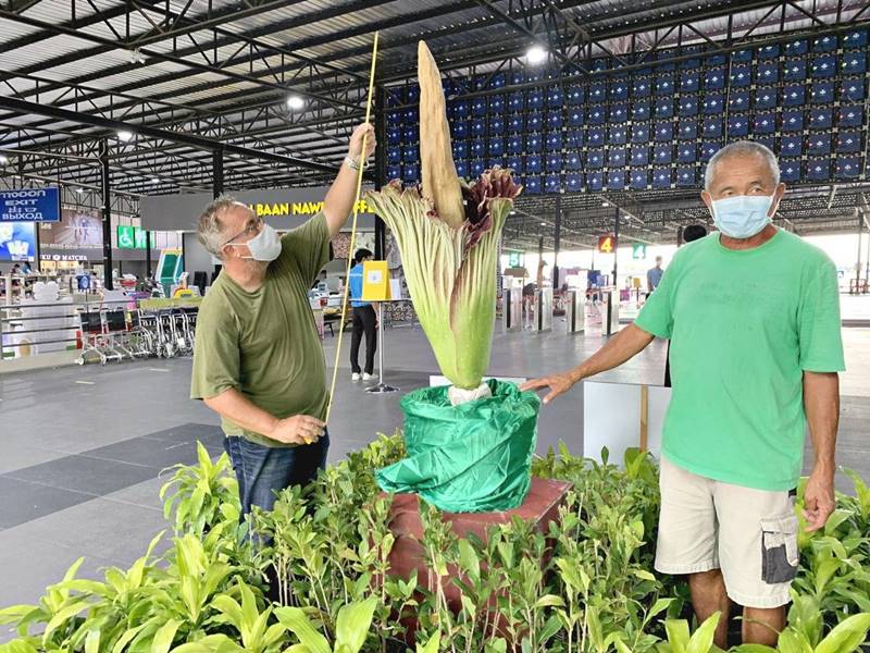 สวนนงนุช