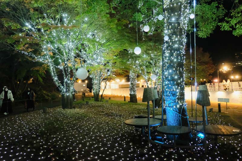 งานไฟ Tokyo illumination 2024
