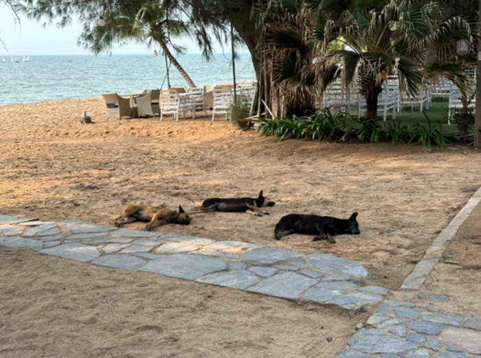 กลับที่พัก