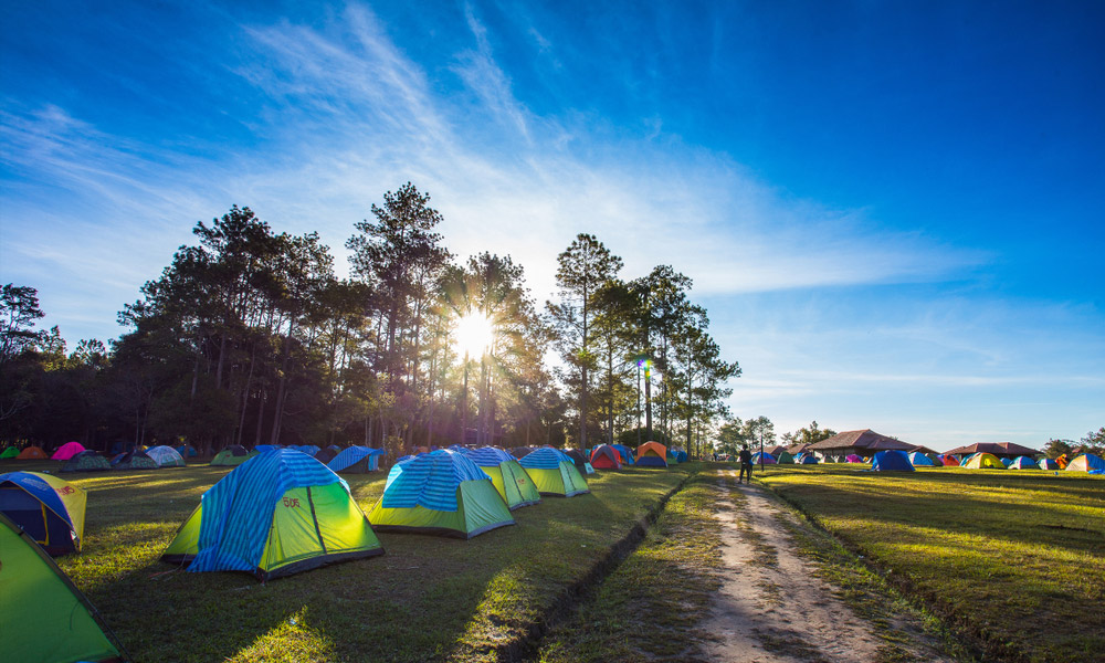 เที่ยวดอยหน้าหนาว