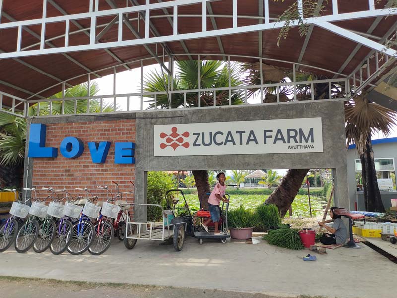 Zucata Cafe  