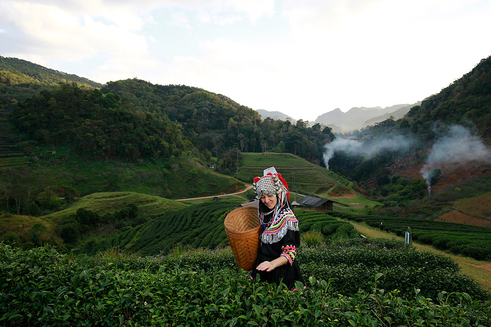 ที่เที่ยวหน้านาว 2563