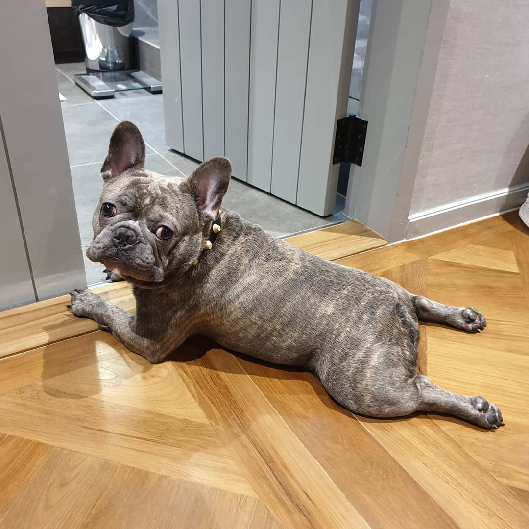 ป๊อก มาร์กี้