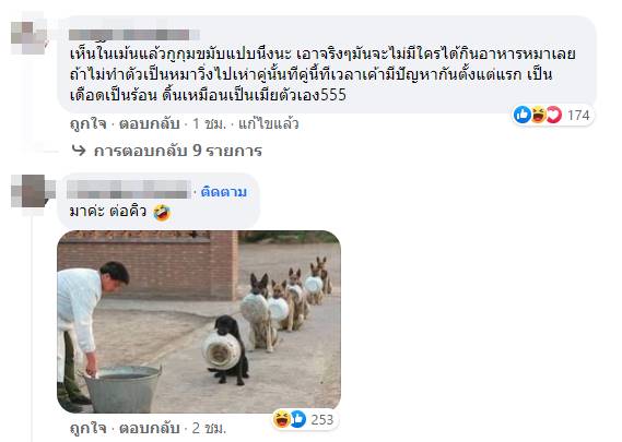 ลูกหมี วันนาบีหมี My Mate Nate