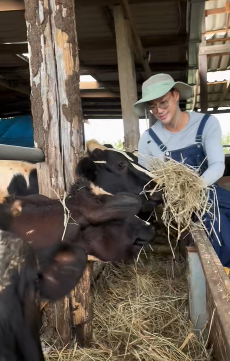 เพ็ชร ฐกฤต