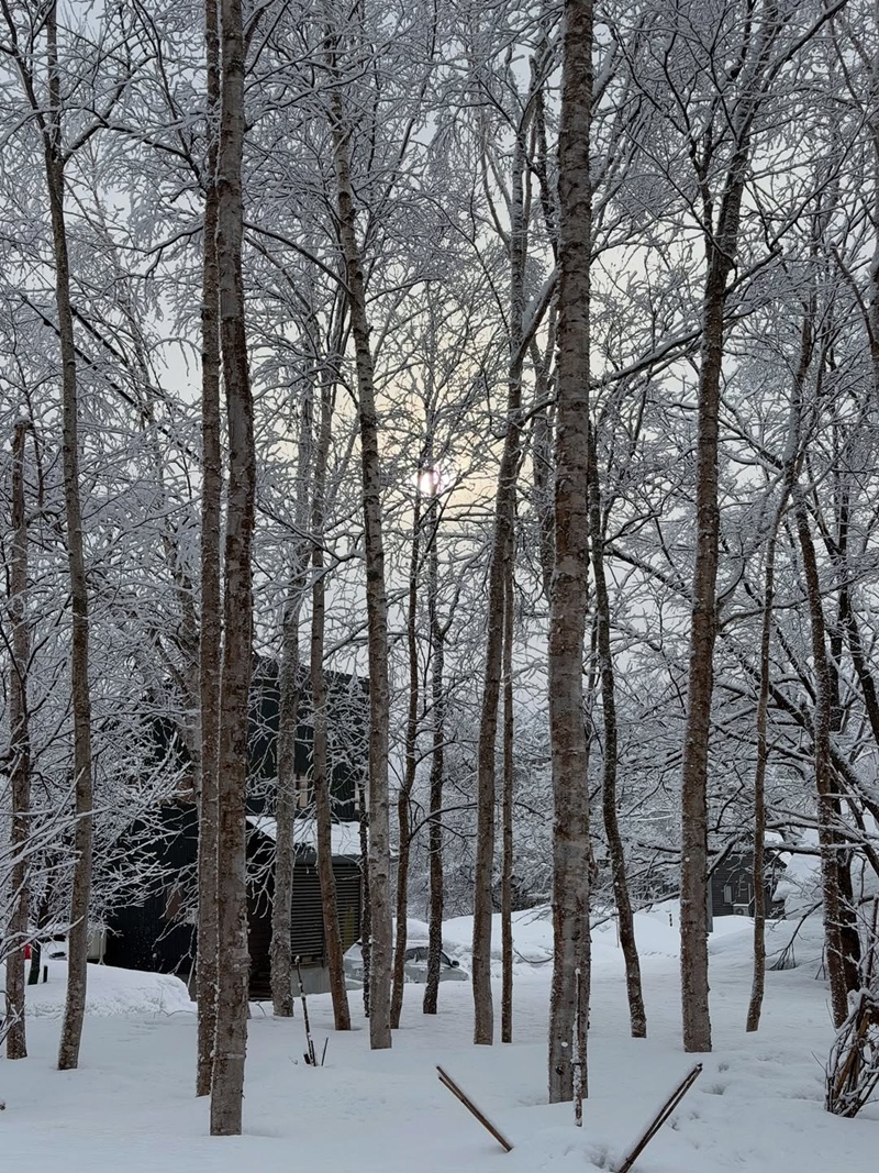 หน่อย บุษกร