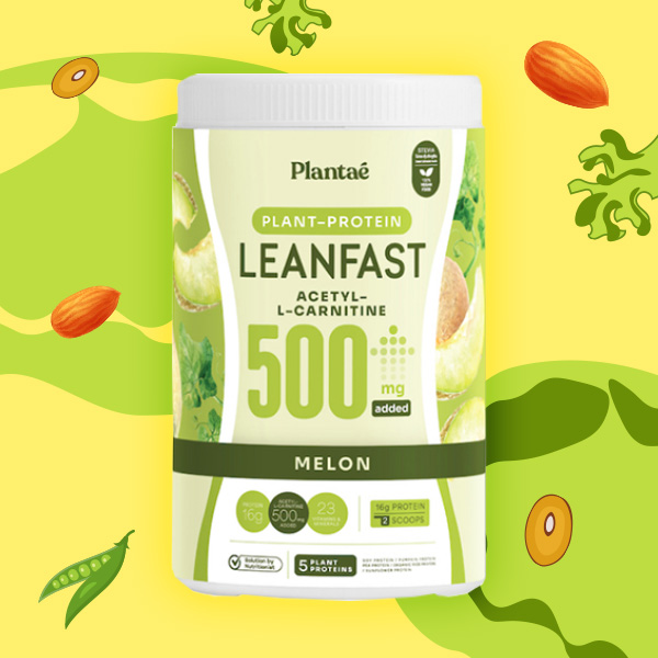 โปรตีนพืช plantae