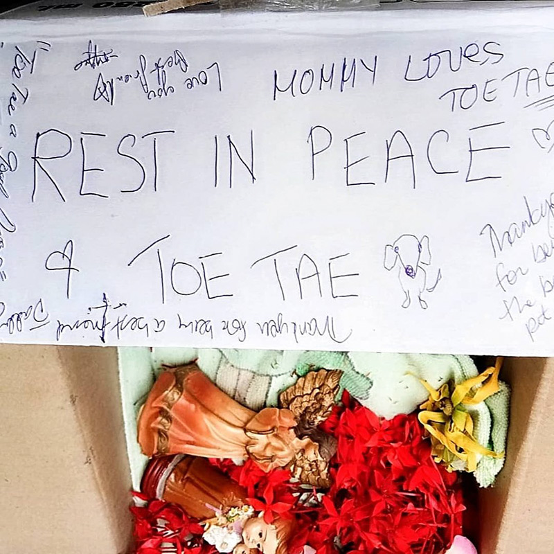 หมาน้องทิกเกอร์ตาย