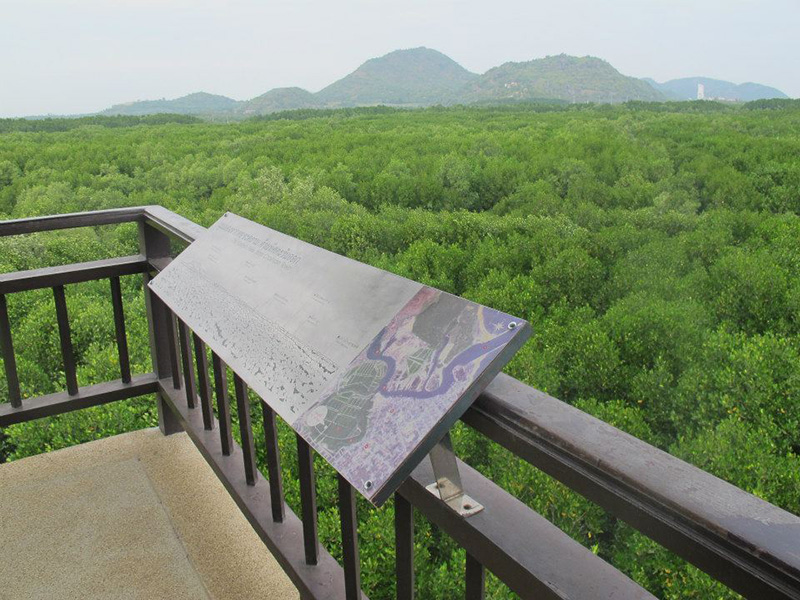 วิธีฟื้นฟูปอด