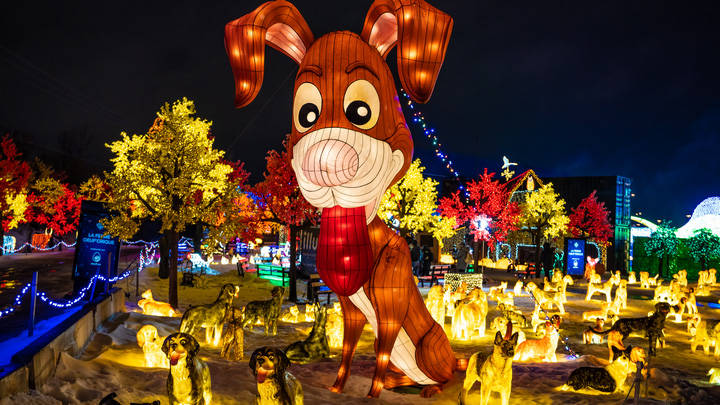 A Magical Universe of Light & Multimedia สิงคโปร์ Puppies and Kitties