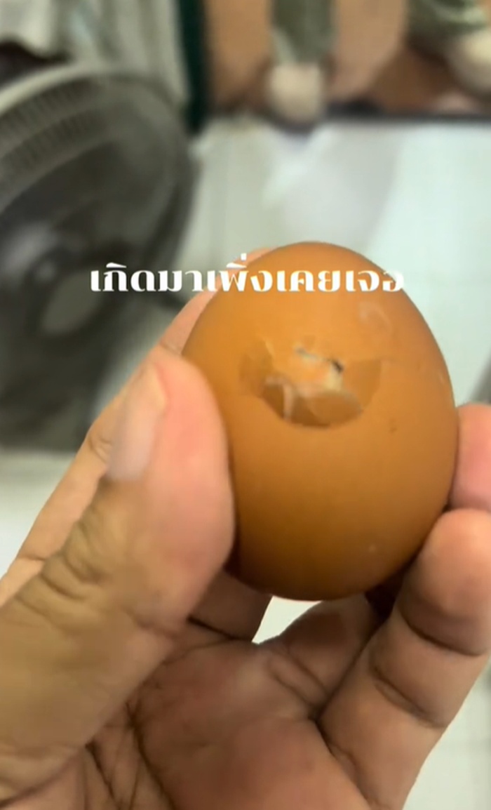 ไข่ไก่