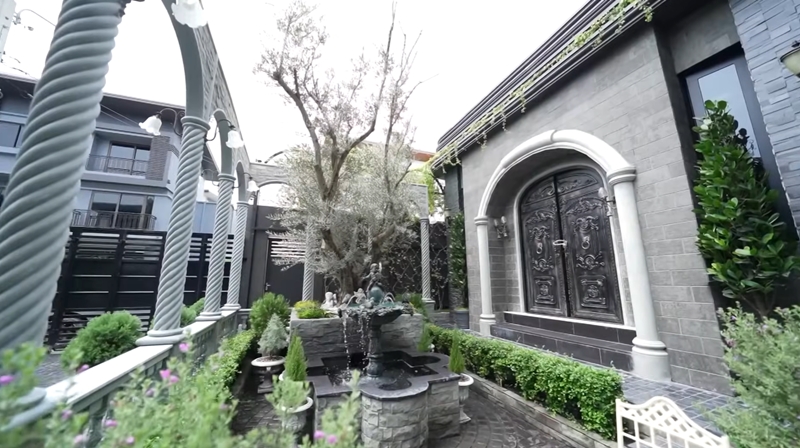 สวนบ้านกระแต อาร์สยาม ต้นโอลีฟ