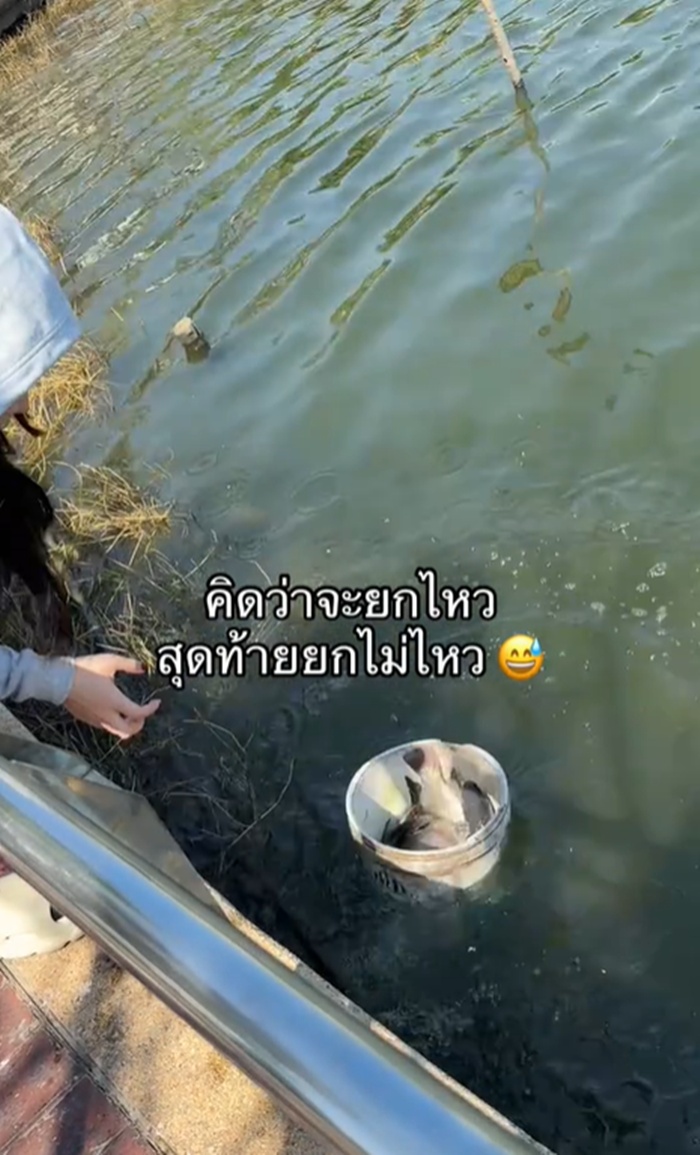 ปล่อยปลา