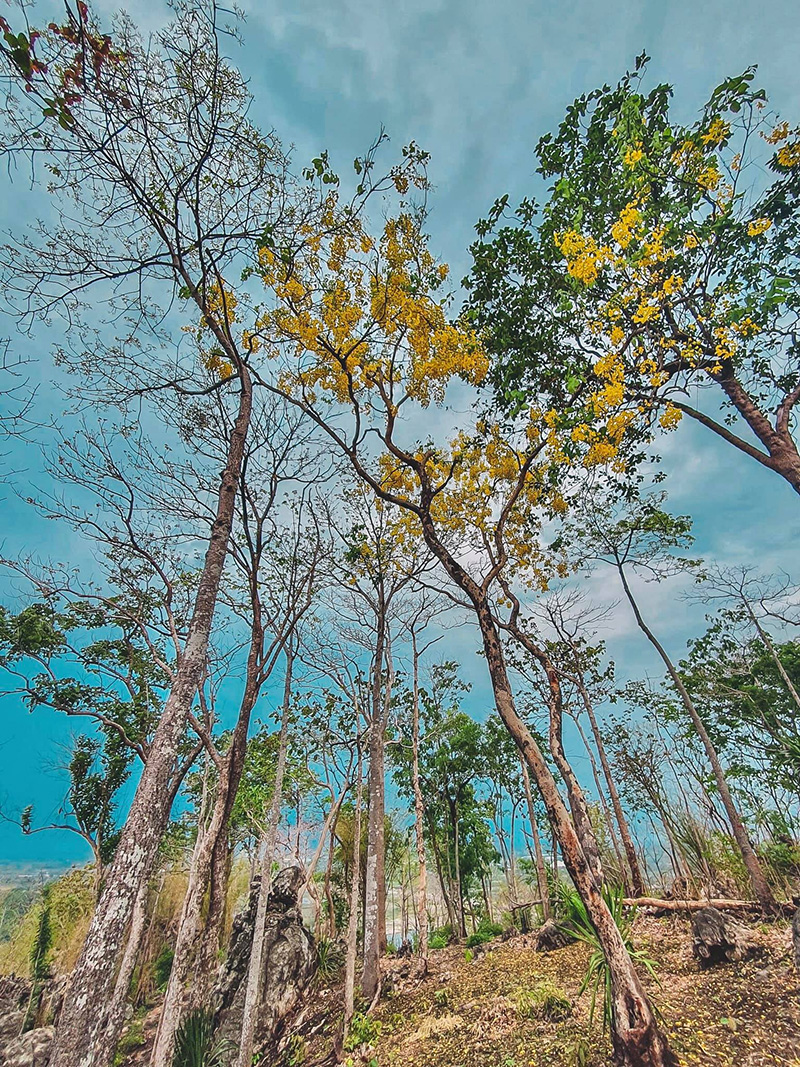 ภูซับเหล็ก ลพบุรี