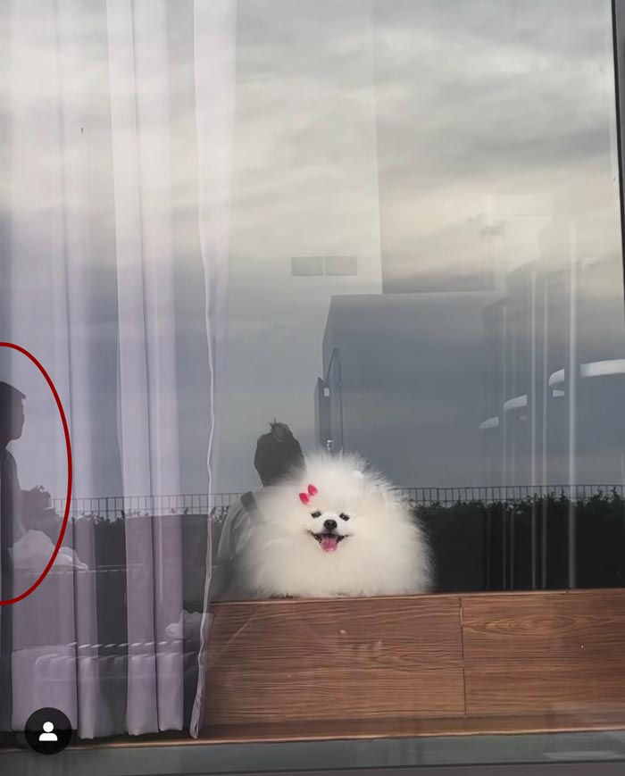 ใบเฟิร์น พิมพ์ชนก