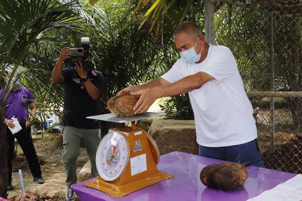 สวนนงนุชพัทยา