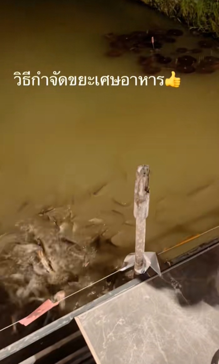 เทเศษอาหาร