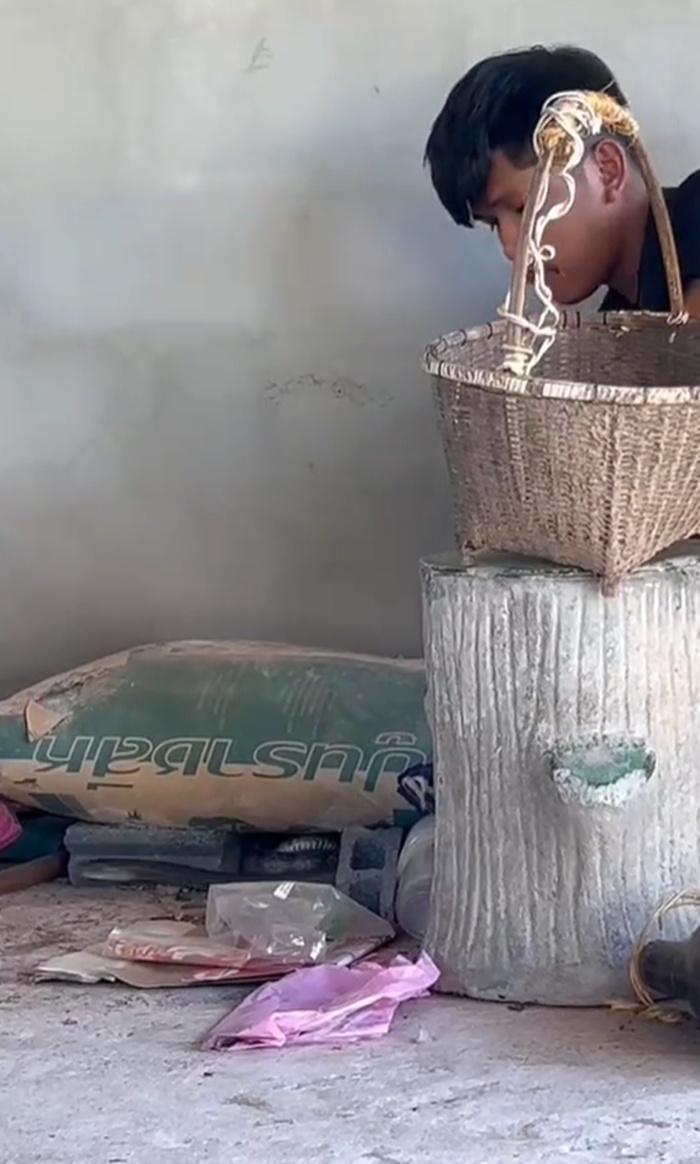 งูเข้าบ้าน