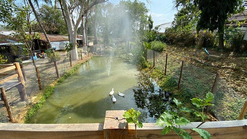 Mulberry Fest’ 2019 ไร่กำนันจุล