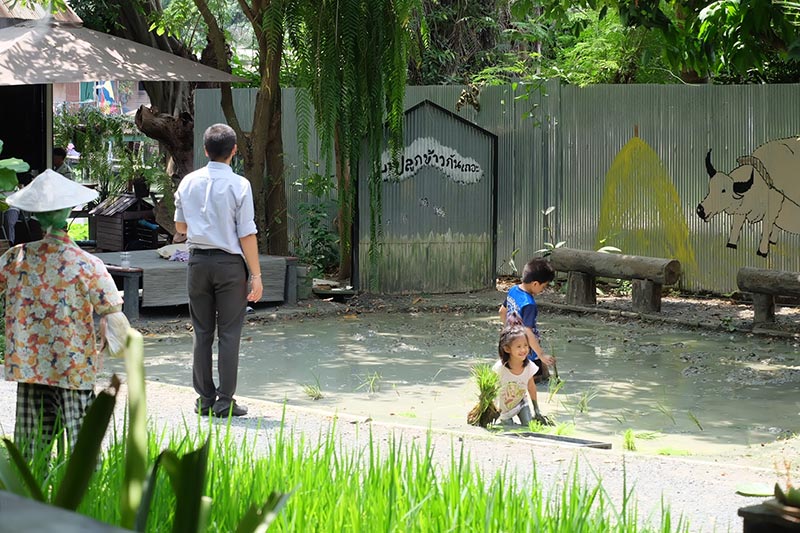 ร้านกาแฟสำหรับครอบครัว