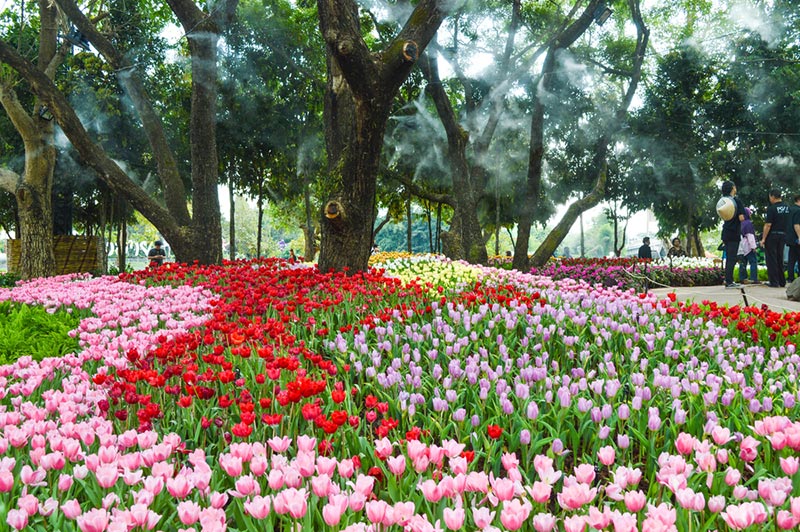 งานเชียงรายดอกไม้งาม