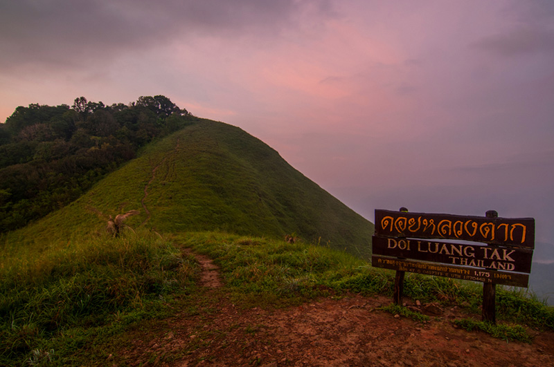 ดอยหลวงตาก 2567