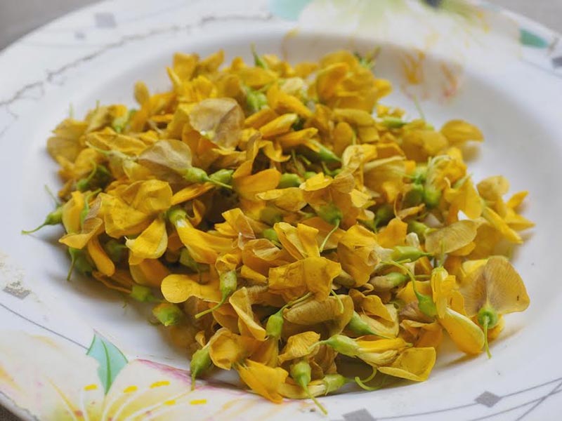 ผักที่มีธาตุเหล็กสูง