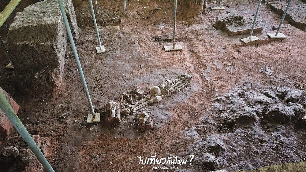 หลุมโครงกระดูกคนโบราณกับสุนัข