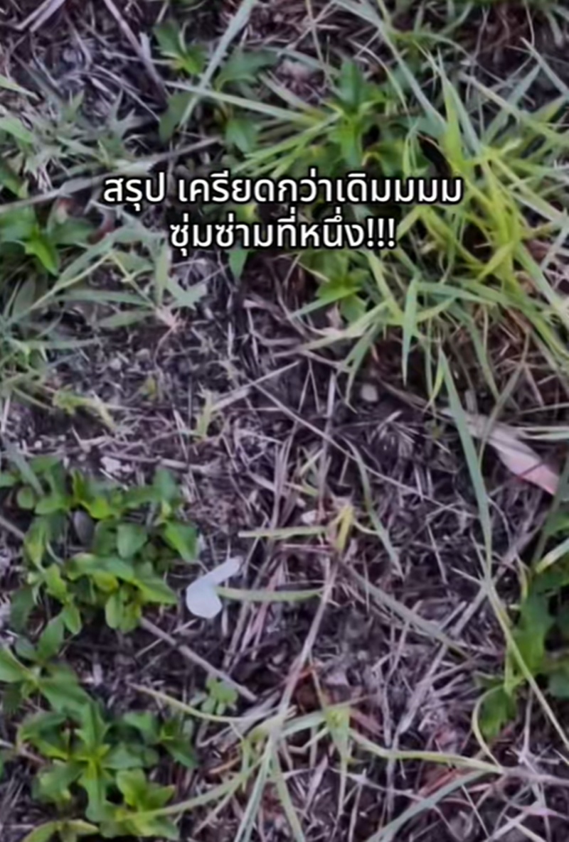 วิ่งออกกำลังกาย