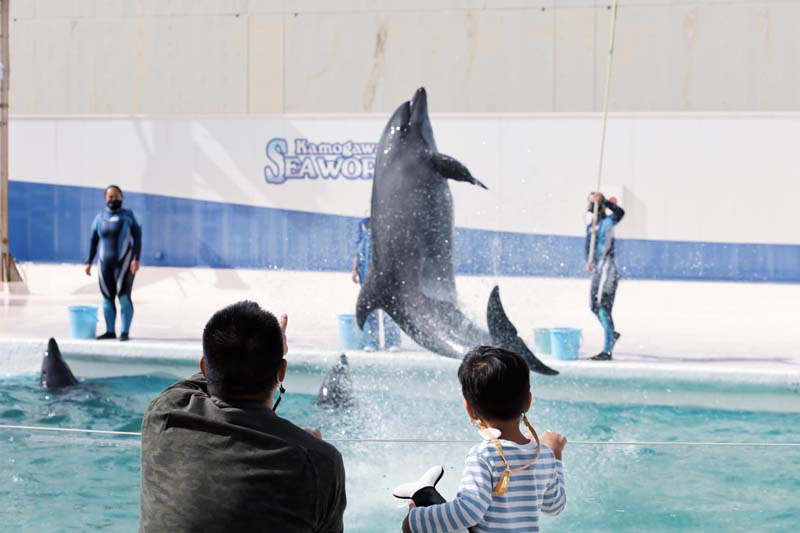 Kamogawa Sea World