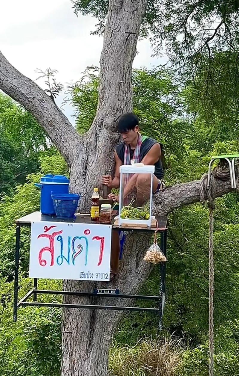 ร้านส้มตำ