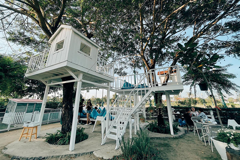 ร้านคาเฟ่สัตว์