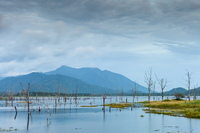 อ่างเก็บน้ำคลองพระพุทธ