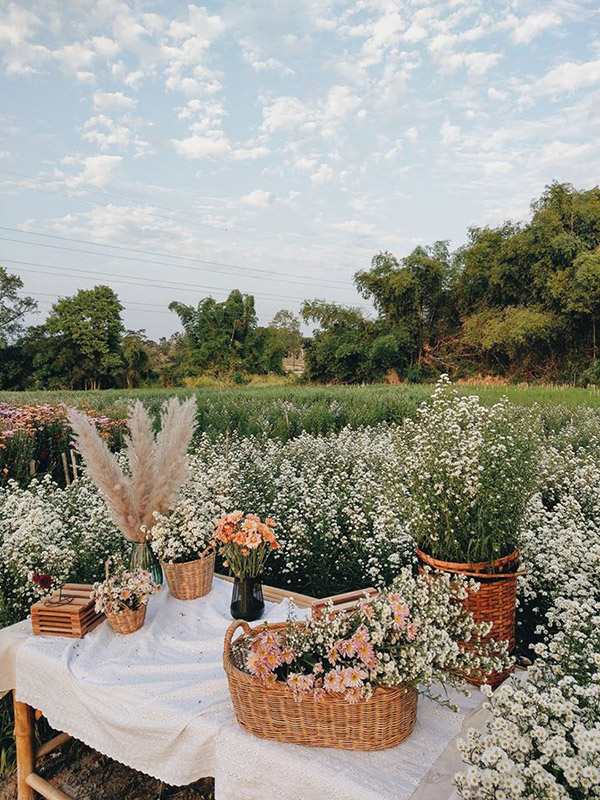 สวนดอกไม้สิทธิกร จ.อุดรธานี