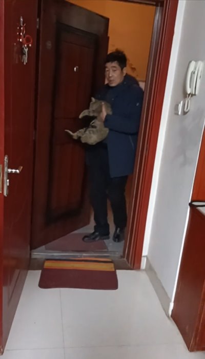 เลี้ยงแมว