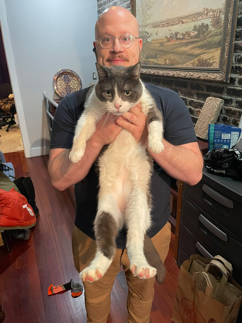 แมวขึ้นเครื่องบิน