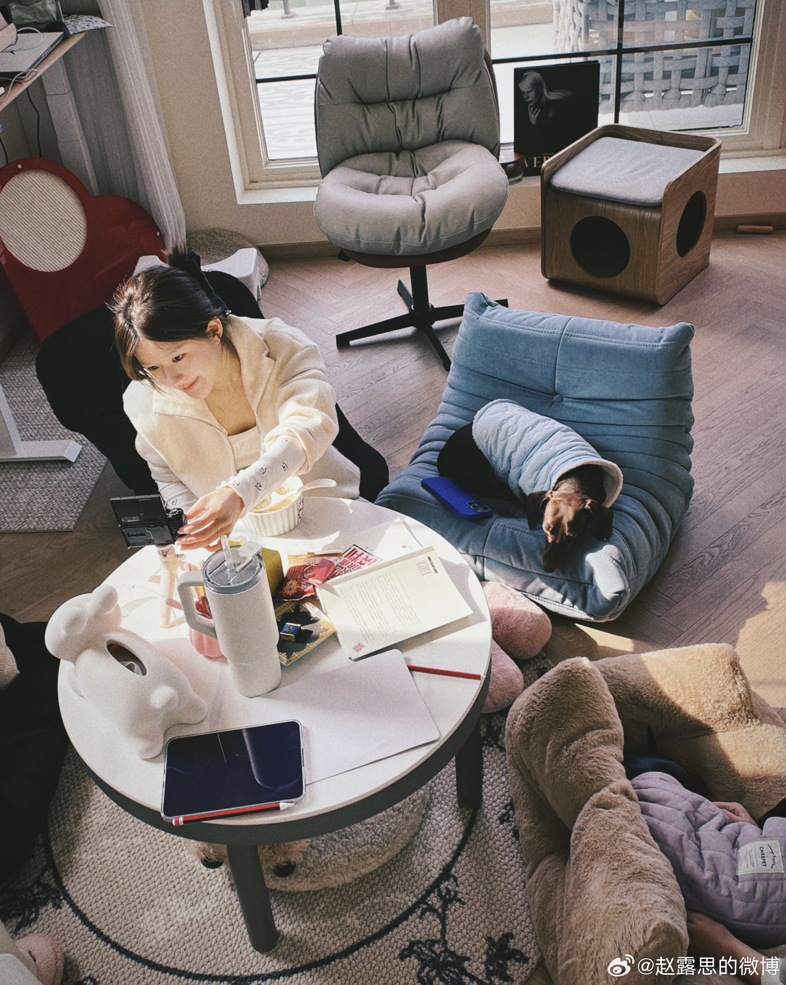 จ้าวลู่ซือ