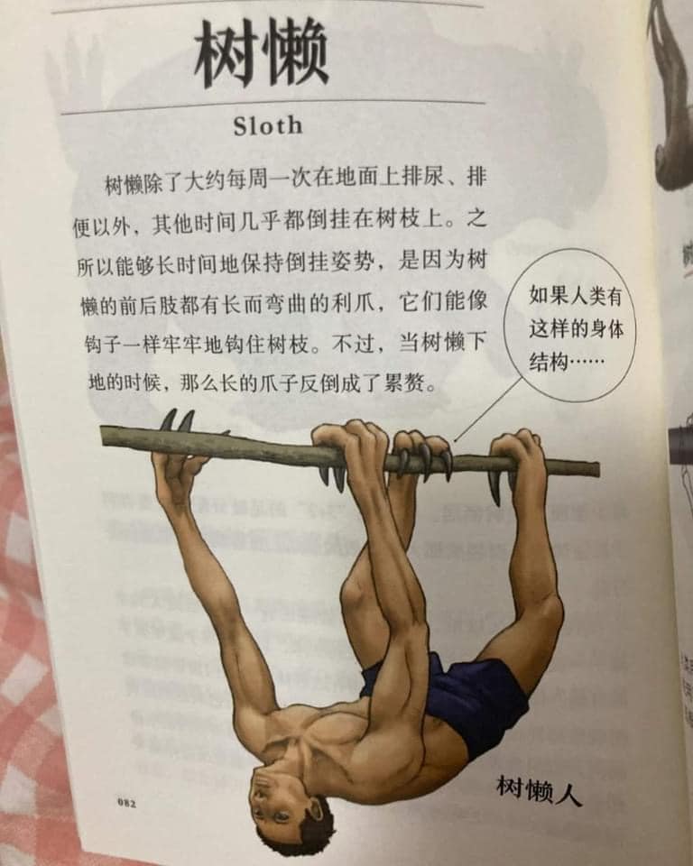 หนังสือเรียน