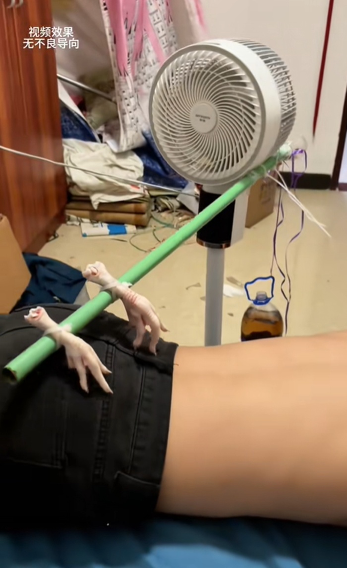 ไม้เกาหลัง