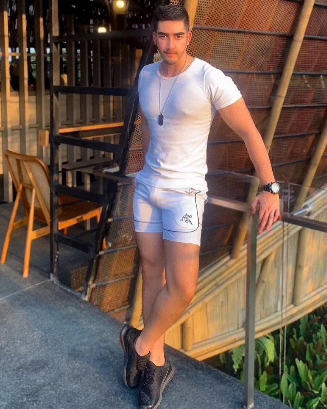  สิงโต เดอะสตาร์