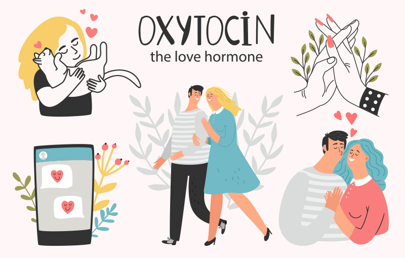 ออกซิโทซิน (Oxytocin) Love Hormone ในเครื่องสำอาง