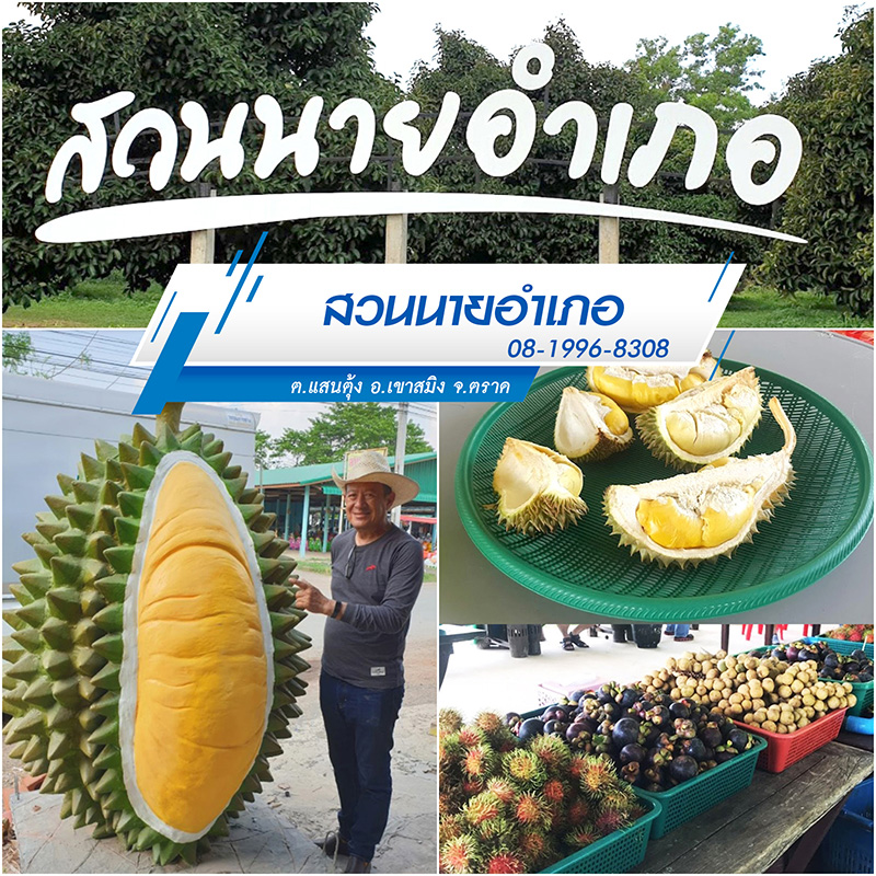 สวนผลไม้ตราด 2565